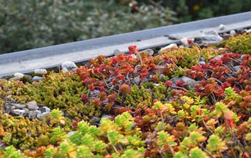 the cost of Horton Cum Studley green roof installation