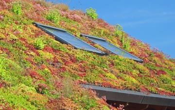 Horton Cum Studley living roof systems