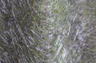 Horton Cum Studley fibreglass roof work